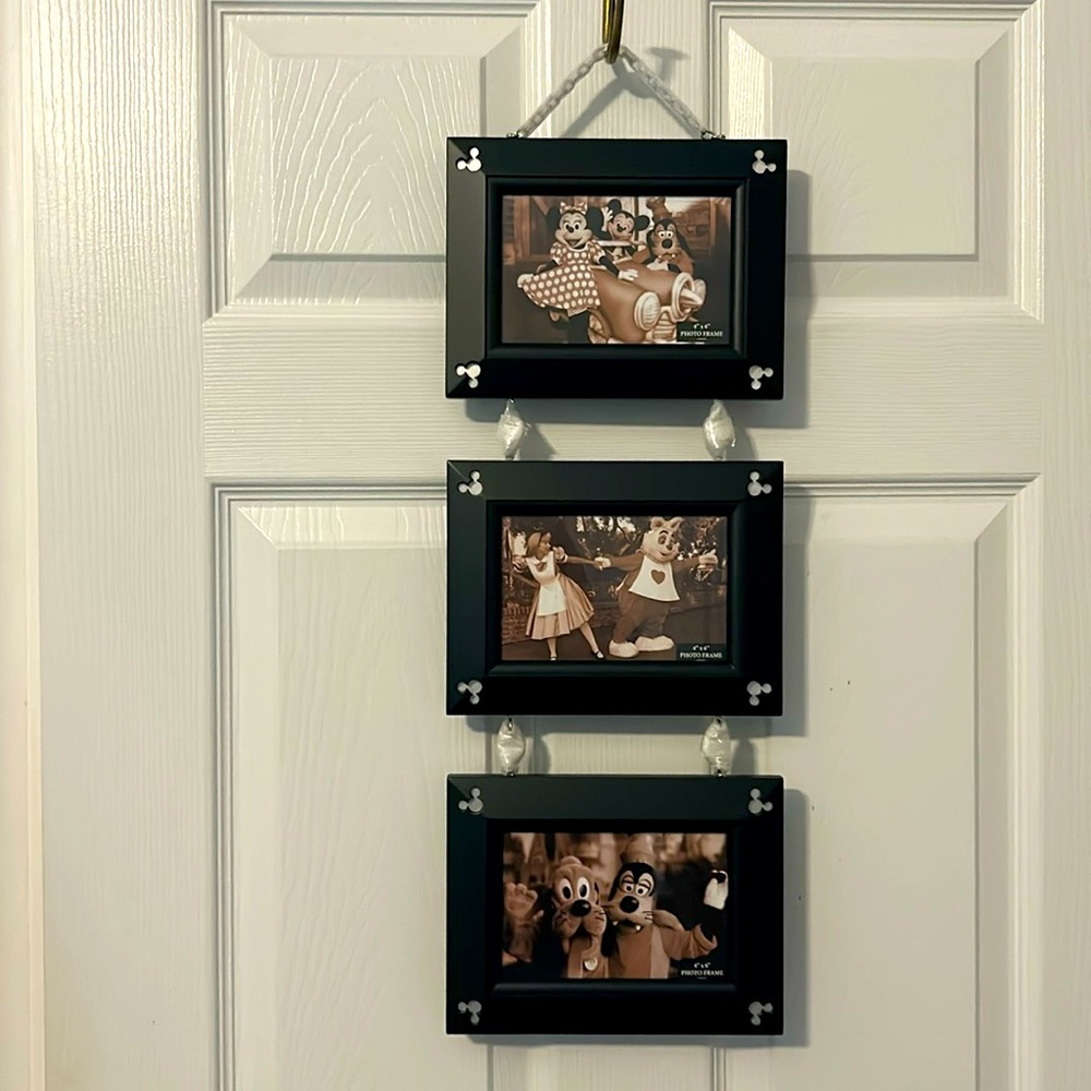 Disney Parks Vertical Wooden Frame